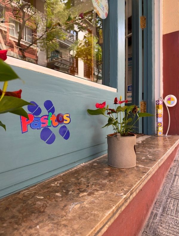 tienda pasitos puerto de la cruz